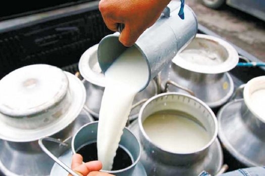 सिनर्जी एफ एम ९१.६ मेघाहर्ज